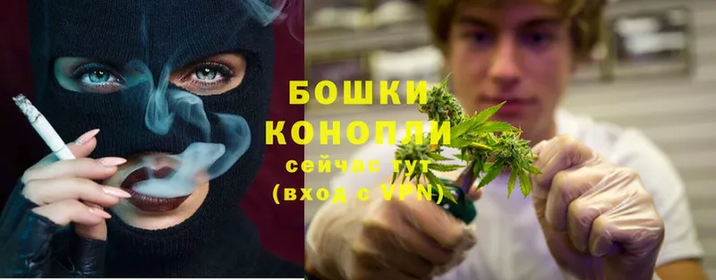 как найти наркотики  Бологое  Бошки Шишки LSD WEED 